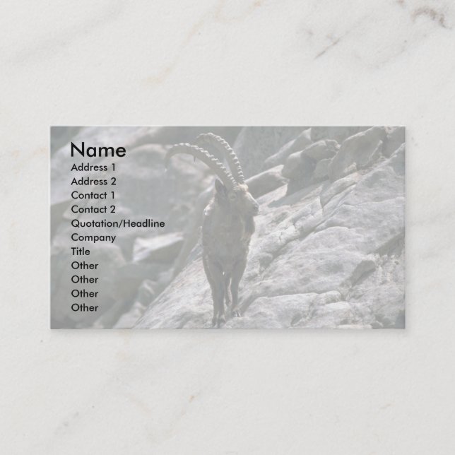 Carte De Visite Ibex sibérien (Devant)