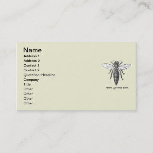 Carte De Visite Illustration Antique d'Insecte de Bourdon Reine Ab