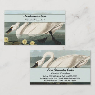 Carte De Visite Illustration Audubon Cygne Blanc Nénuphar Vintage