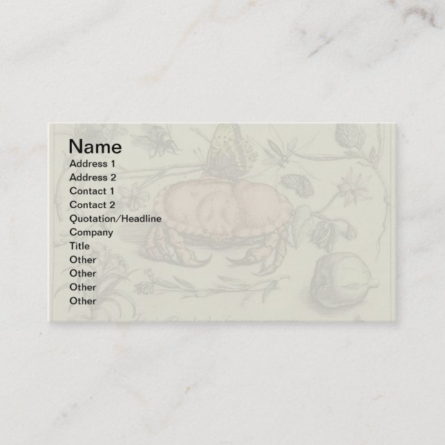 Carte De Visite Illustration de fleur d'insecte botanique de crabe (Devant)