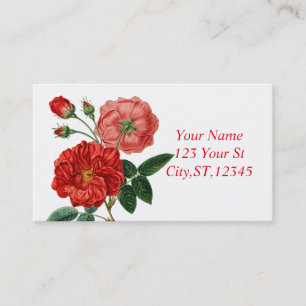 Carte De Visite Illustration de rose rouge vintage Thunder_Cove