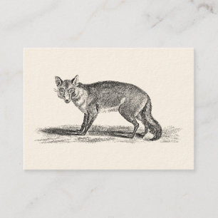 Carte De Visite Illustration rusée vintage de Fox - renards 1800'