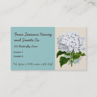 Carte De Visite Illustrations Vintages d'Hydrangée blanche