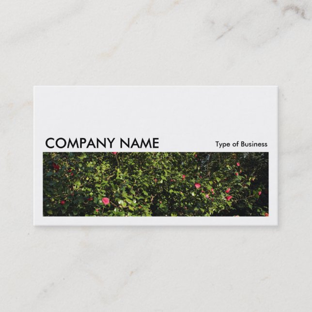 Carte De Visite Image longue 0175 - Camellia Bush (Devant)