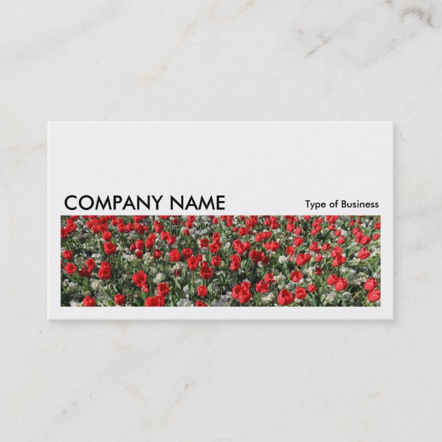 Carte De Visite Image longue 0182 - Tulipes rouges et Primroses (Devant)