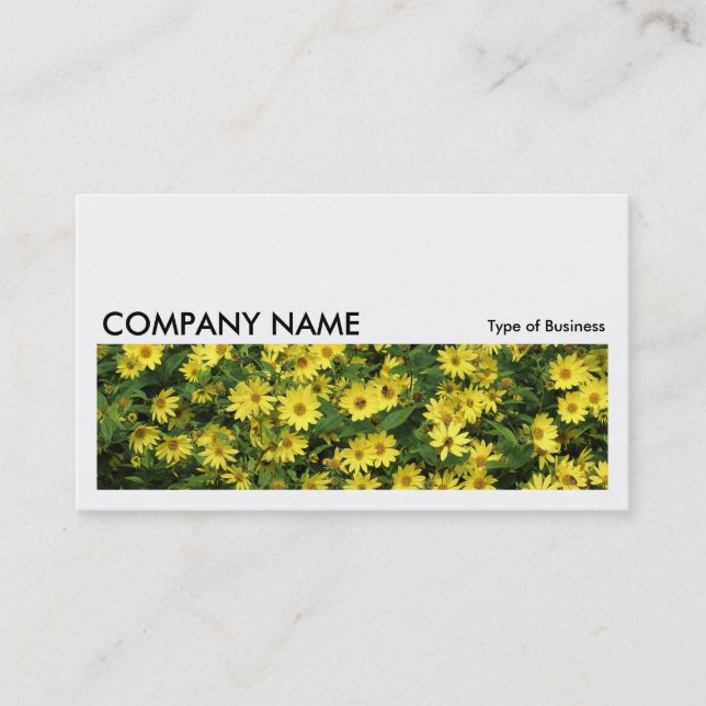 Carte De Visite Image longue 0231 - Marguerites jaunes (Devant)