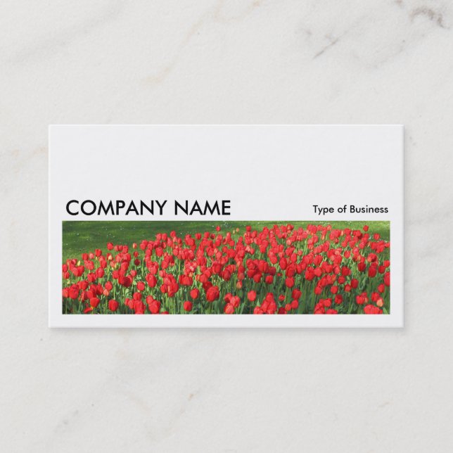 Carte De Visite Image longue 0233 - Lit de tulipes rouges 02 (Devant)