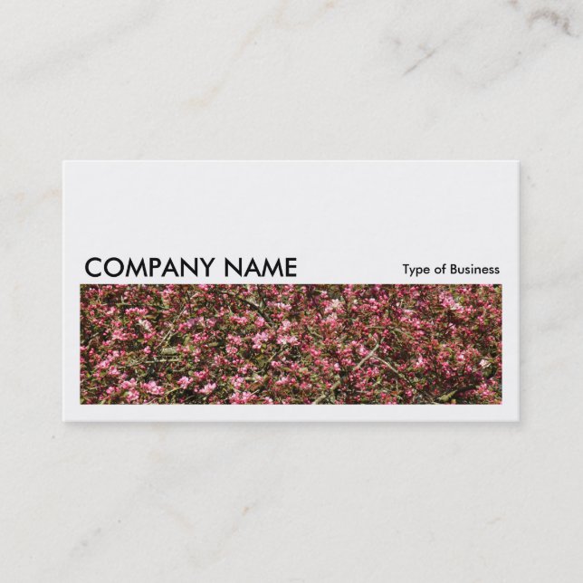 Carte De Visite Image longue 0234 - Fleur de cerisier rose (Devant)