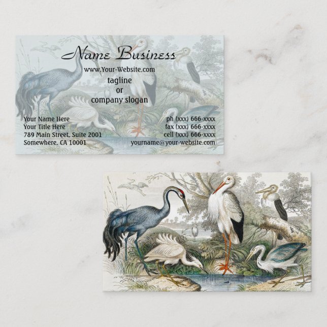 Carte De Visite Impression d'art de la nature Héron, Cigogne et Gr (Devant / Derrière)