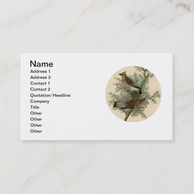 Carte De Visite Impression d'oiseau de John James Audubon Jaseur b (Devant)