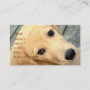 Carte de visite innocent d'Abby