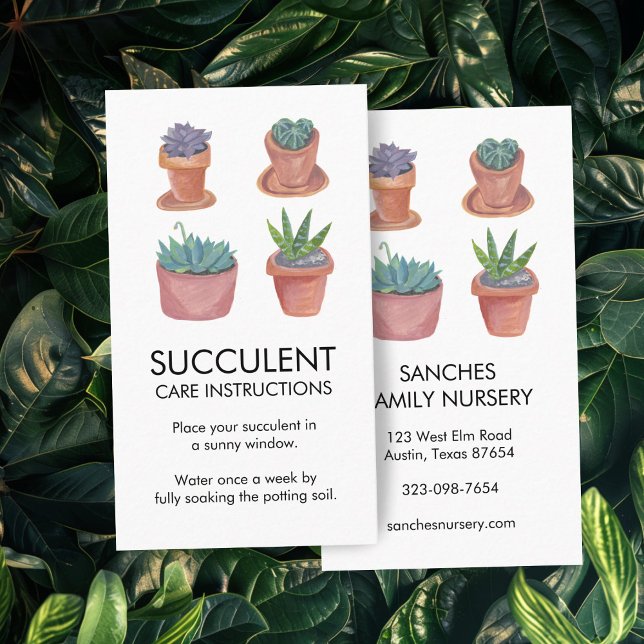 Carte De Visite Instructions pour les soins plantes Cactus Succule (Plant Care Instructions Houseplant Succulent Cacti Business Card
)