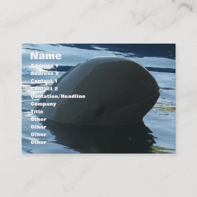 Carte De Visite Irrawaddy Dolphin Peek-A-Boo (Devant)