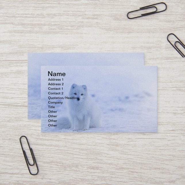 Carte De Visite Islande Renard arctique (Devant/Arrière en situation)