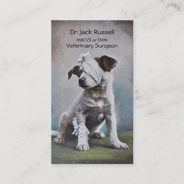 Carte De Visite Jack Russell avec des bandages vétérinaires (Devant)