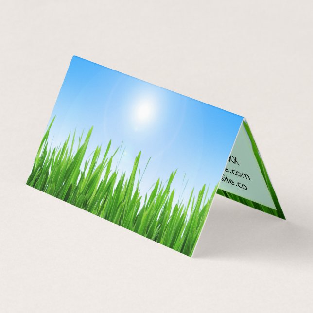 Carte De Visite Jardin à l'herbe verte avec conception de ciel ble (Devant)