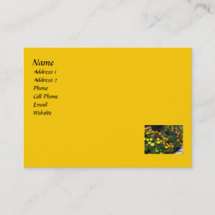 Carte De Visite Jardin de souci