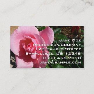 Carte De Visite Jardin floral de rose rose et bourgeon