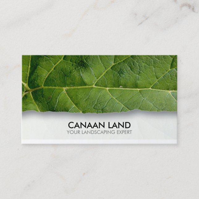 Carte De Visite Jardin paysager paysager (Devant)