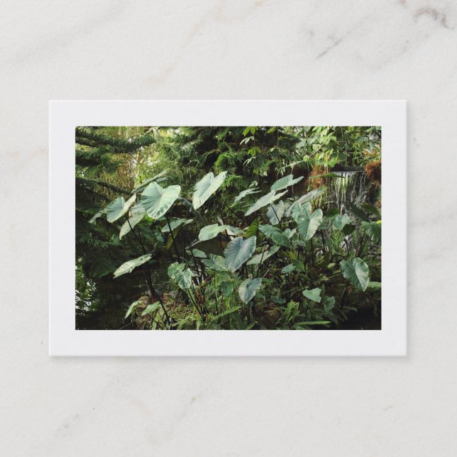 Carte De Visite Jardins botaniques (Bordés) (Devant)