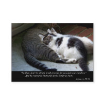 Je fournirai des affaires ou des télécartes (de