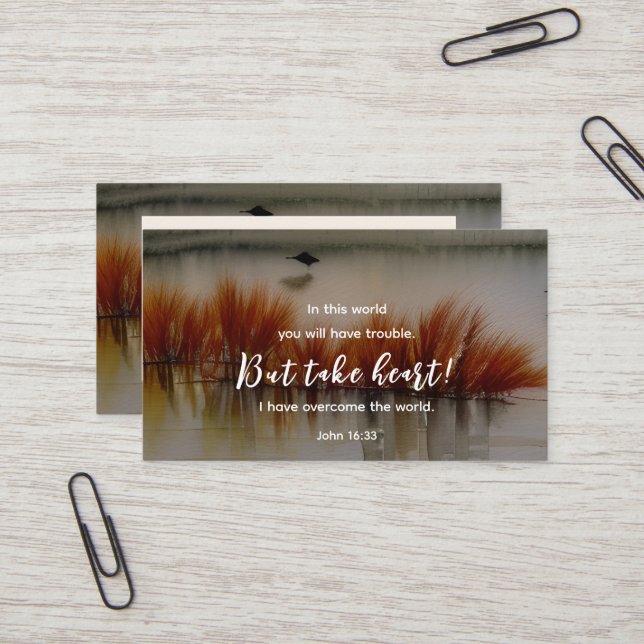 Carte De Visite Jean 16:33 J'ai surmonté la Bible Verse Christian (Devant/Arrière en situation)