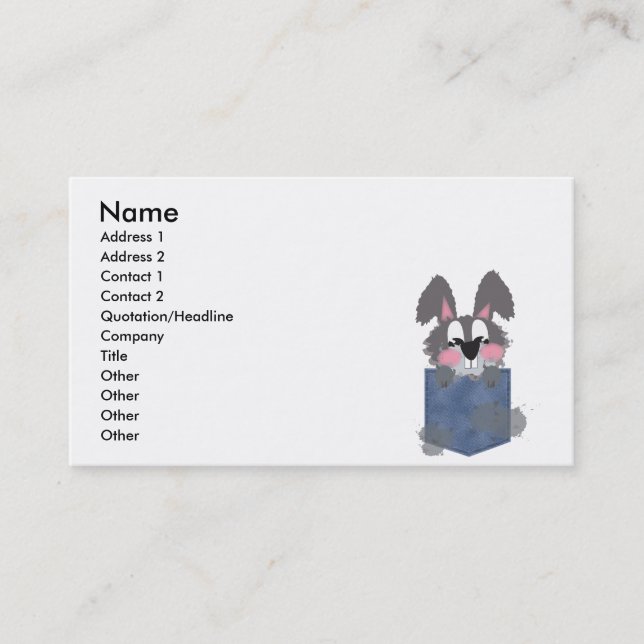 Carte De Visite Jean Pocket Dust Bunny (Devant)