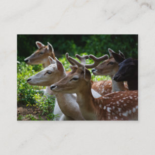 Carte De Visite J'entends Mini Impression