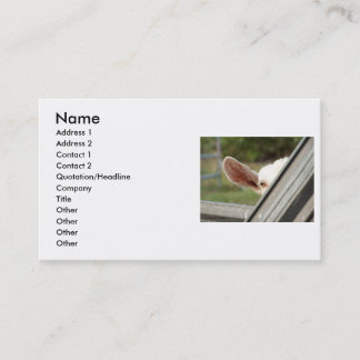 Carte De Visite Jetez un coup d'oeil une chèvre de blanc de huer !