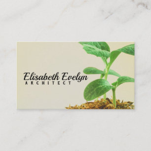 Carte De Visite Jeune Plante d'arbre