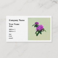 Joli Rhododendron rose