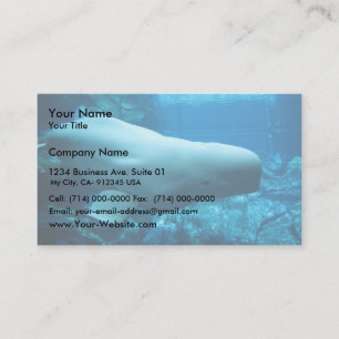 Carte De Visite Jolie Baleine Beluga À L'Aquarium De Géorgie