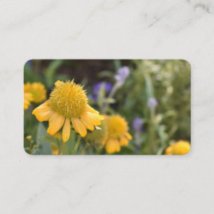 Carte De Visite Jolie Fleurs Jaunes Jardin Nature Photo Florale