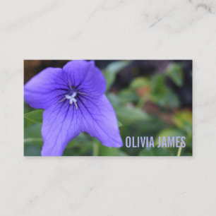 Carte De Visite Jolie Fleurs violettes Nature Jardin Photographie