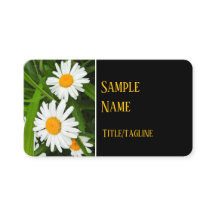 jolie marguerite blanche fleurs nature photographi