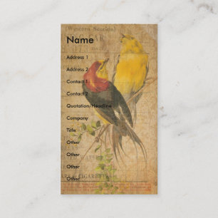 Carte De Visite Jolies oiseaux