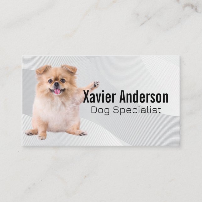 Carte De Visite Jolis services pour chiens et animaux  (Devant)