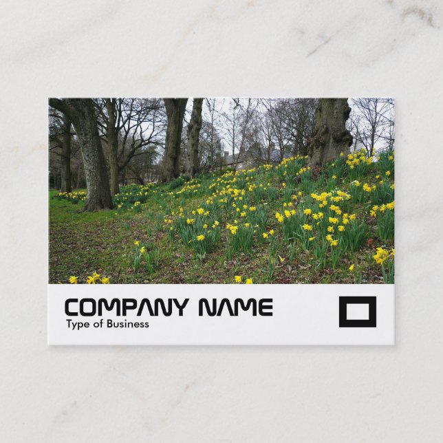Carte De Visite Jonquilles Bute Park, Cardiff (Devant)
