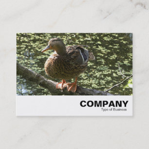 Carte De Visite Joyeux canard