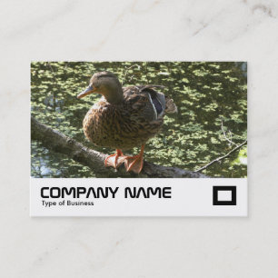 Carte De Visite Joyeux canard