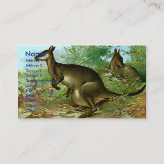 Carte De Visite Kangourou