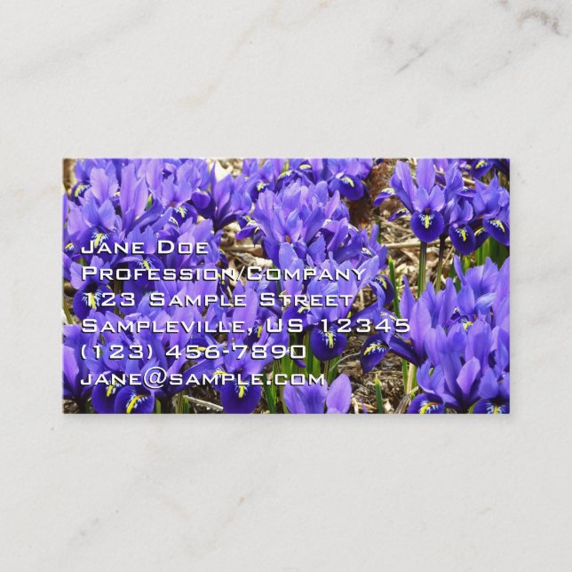 Carte De Visite Katherine Hodgkin Irises Printemps Violet Floral (Devant)
