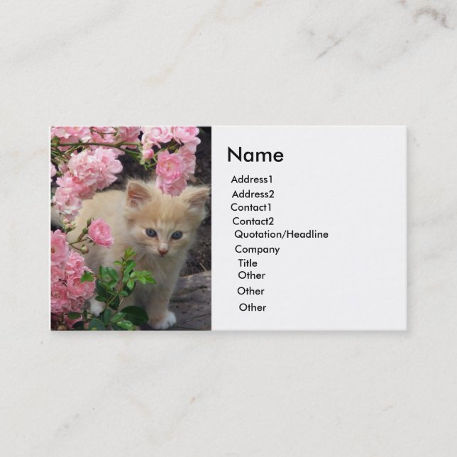 Carte De Visite Kitten blanc et Brown (Devant)