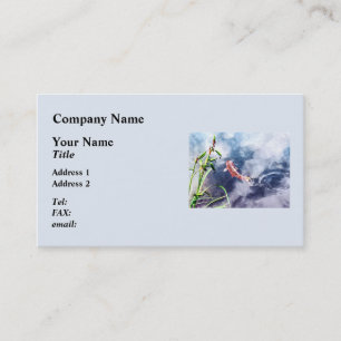 Carte De Visite Koi dans l'eau qui tortille