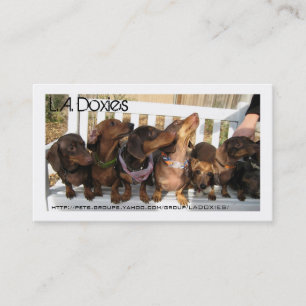 Carte De Visite L.A.Doxies [napoléon]