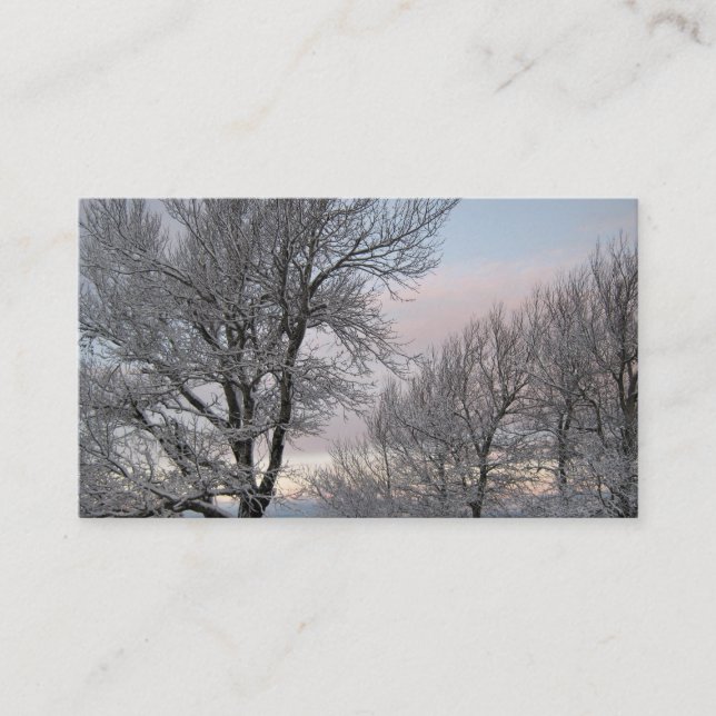 Carte De Visite La neige a couvert des branches (Devant)