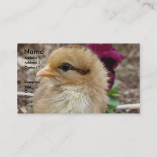 Carte De Visite La poule dans le jardin