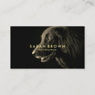 Carte De Visite Labrador Black Dog Walker toilettage