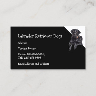 Carte De Visite Labrador Retriever Chiens éleveur Animaux de compa