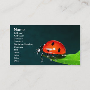 Carte De Visite Ladybug